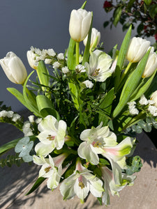 White "Inca Lilys"