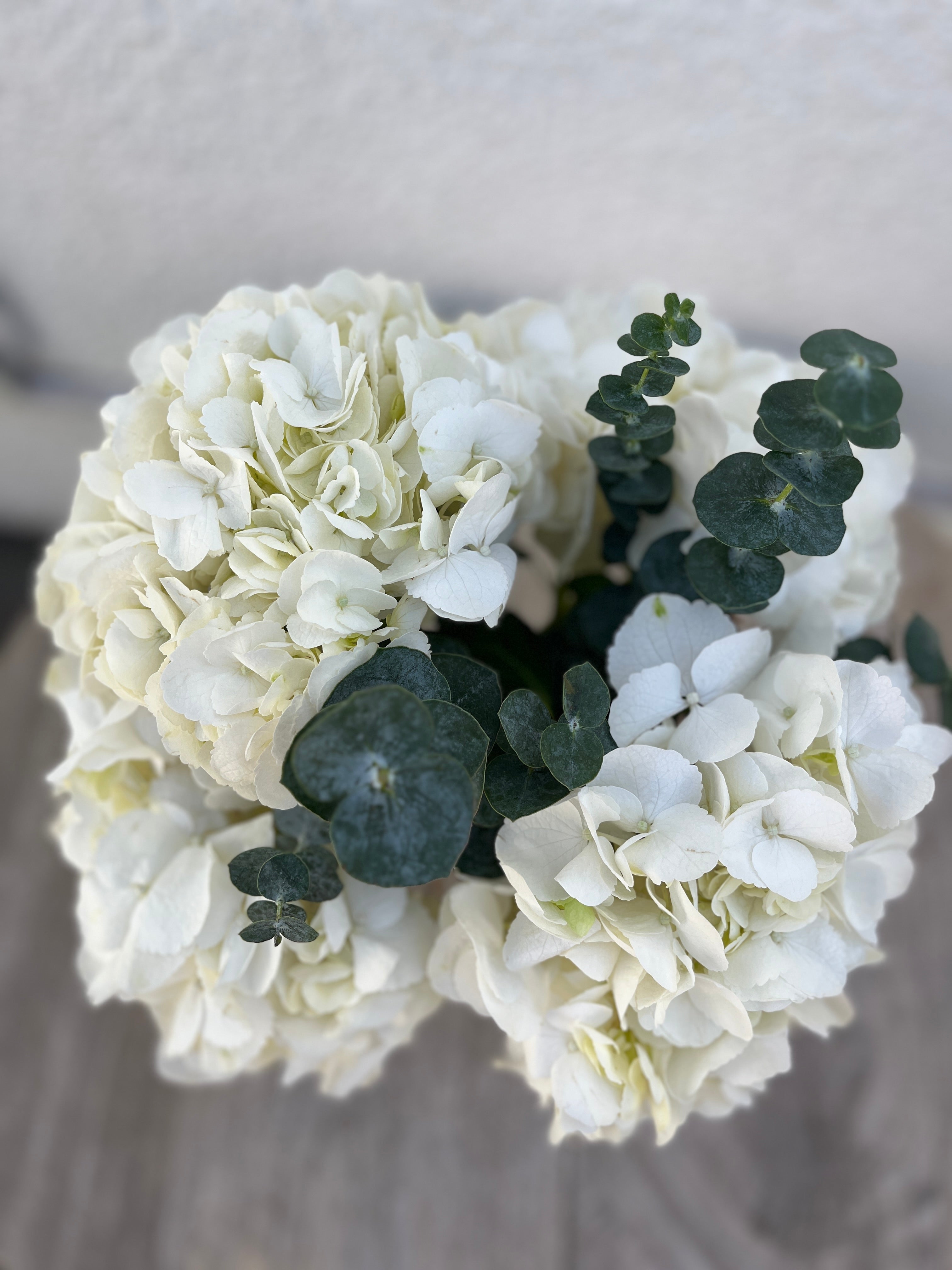 White Hydrangeas