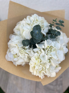 White Hydrangeas