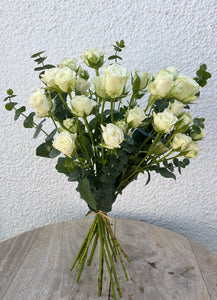 White Spray Roses