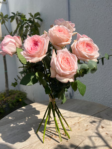 Pink O'Hara Roses