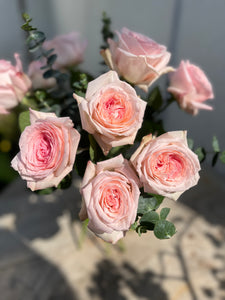 Pink O'Hara Roses